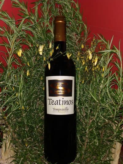 vino manchego Teatinos 40 barrica