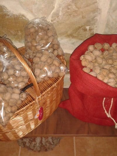 NUECES  del  Terreno