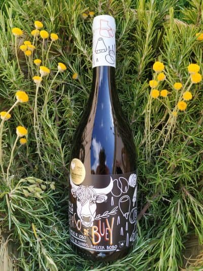 VINO PASO DE BUEY - Vino de Autor