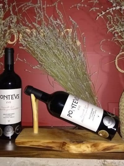 VINO PONTEVS XVII
