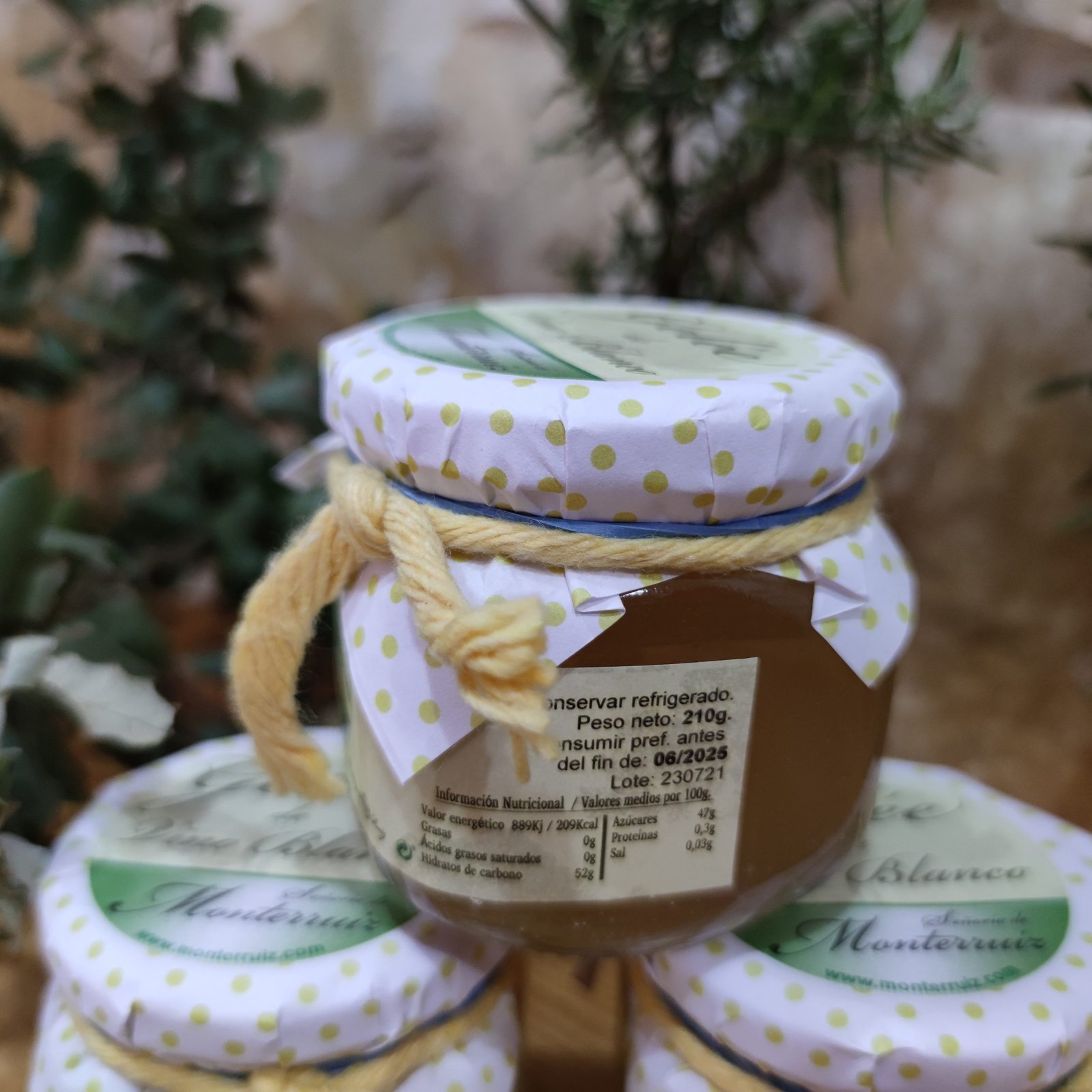 GELEE DE VINO BLANCO - Imagen 2